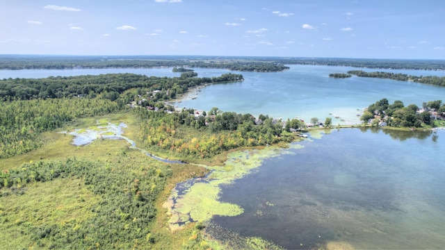 drone / aerial view with a view of trees and a water view