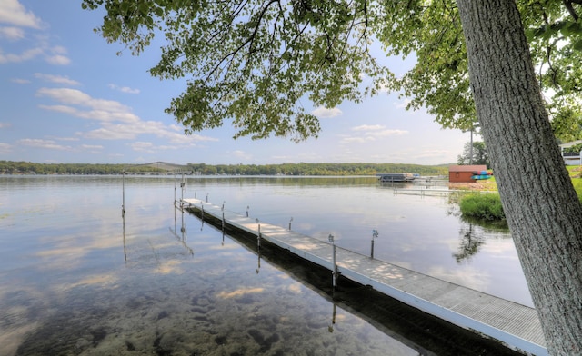 dock area with a water view