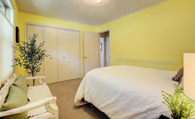 carpeted bedroom featuring a closet and ornamental molding