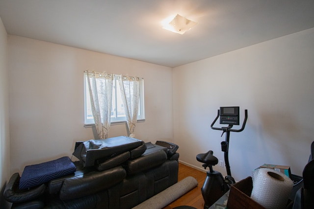 workout room featuring wood finished floors