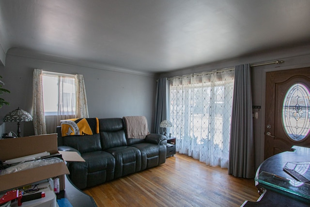 living room with wood finished floors