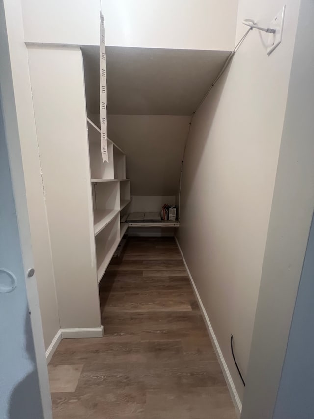 spacious closet featuring wood finished floors