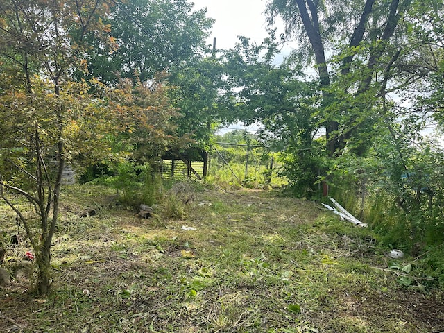 1728 Bellevue St, Detroit, MI 48207 - view of landscape