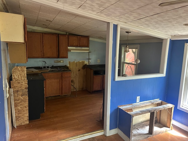 1728 Bellevue St, Detroit, MI 48207 - kitchen featuring crown molding, under cabinet range hood, hardwood / wood-style floors, brown cabinets, and hanging light fixtures
