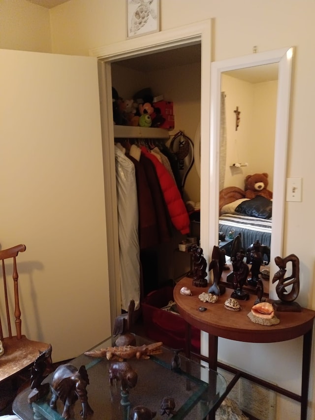 view of closet