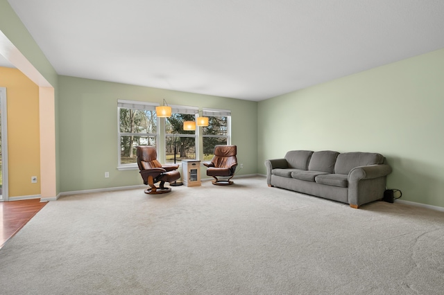 living area featuring baseboards and carpet floors