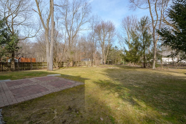 view of yard with a patio area and fence