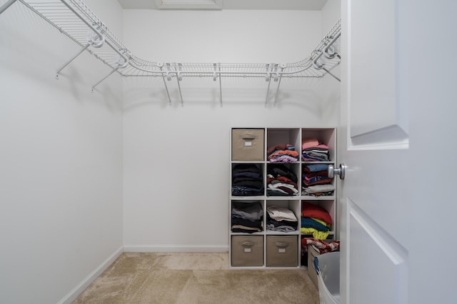 spacious closet with carpet