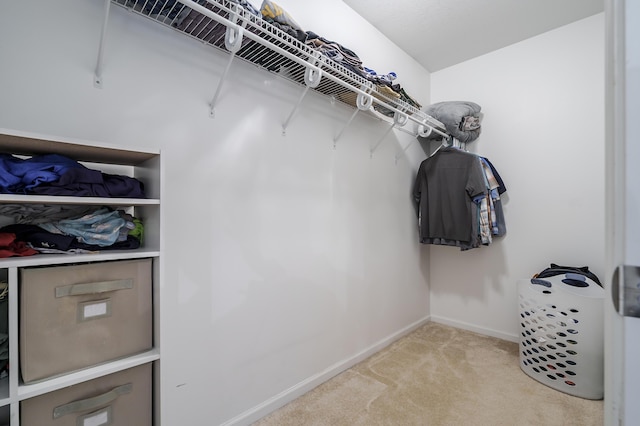 spacious closet with carpet flooring