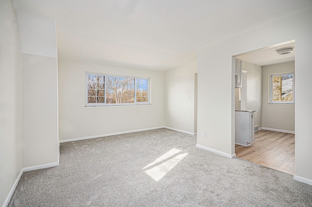 empty room featuring baseboards, a wealth of natural light, and light carpet