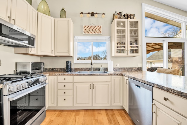 kitchen with a sink, light wood-type flooring, plenty of natural light, and appliances with stainless steel finishes