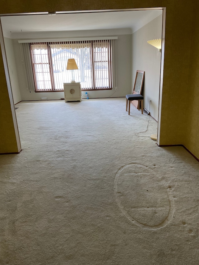 unfurnished room featuring carpet and a wealth of natural light