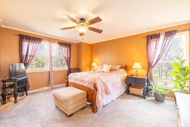 bedroom featuring ornamental molding, multiple windows, carpet floors, and a textured ceiling