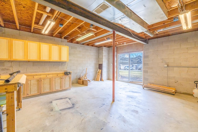 basement with visible vents