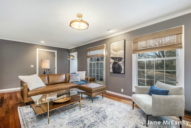 living area featuring crown molding, plenty of natural light, wood finished floors, and baseboards