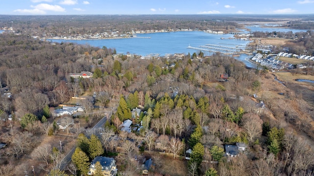 bird's eye view with a wooded view and a water view