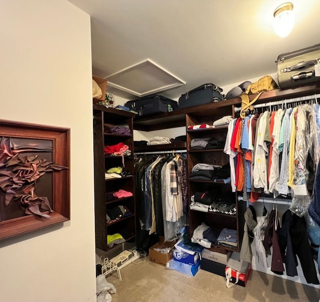 spacious closet featuring attic access and carpet floors