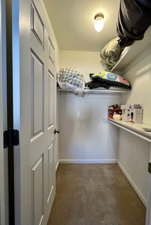 walk in closet featuring carpet