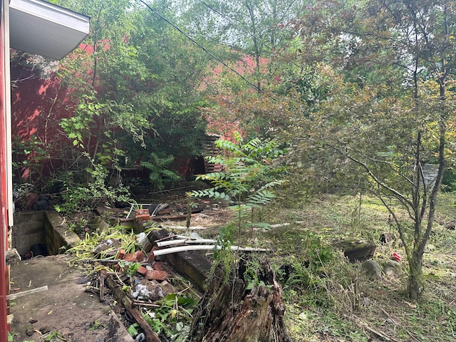 view of nature featuring a wooded view