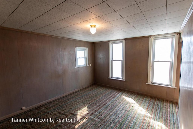 spare room featuring wooden walls and carpet floors