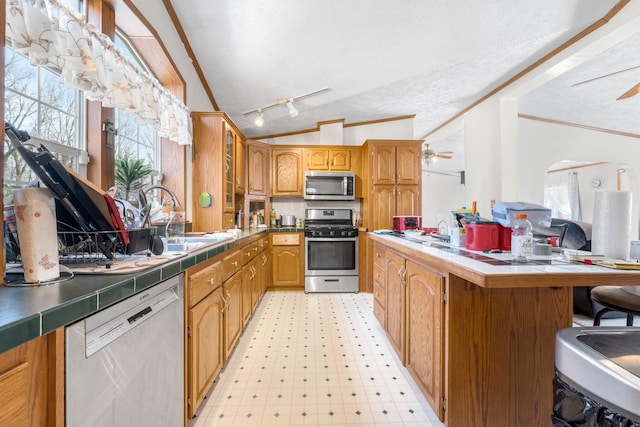 kitchen featuring light floors, lofted ceiling, ornamental molding, stainless steel appliances, and a sink