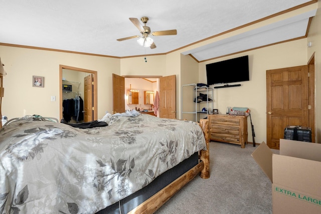 carpeted bedroom with crown molding, a spacious closet, a closet, and ceiling fan