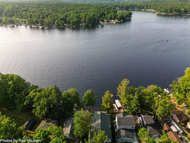 5569 Front St, Newaygo, MI 49337 - aerial perspective of suburban area with a forest and a large body of water