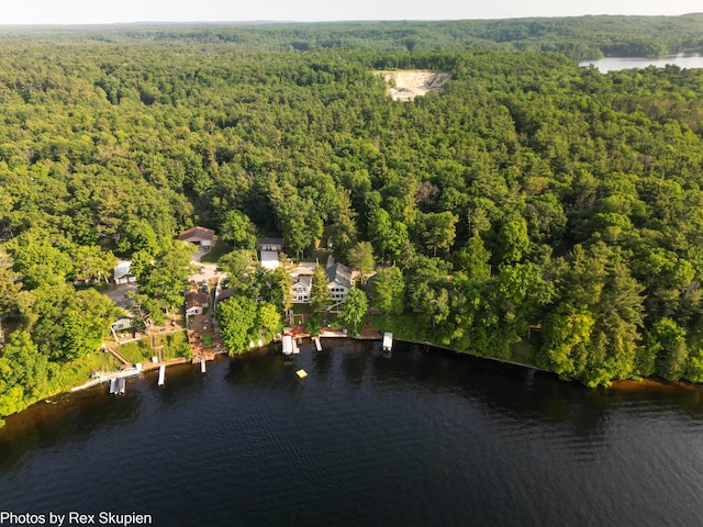 5569 Front St, Newaygo, MI 49337 - drone / aerial view of a forest and a large body of water