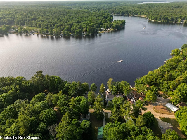 5569 Front St, Newaygo, MI 49337 - bird's eye view of a heavily wooded area and a large body of water