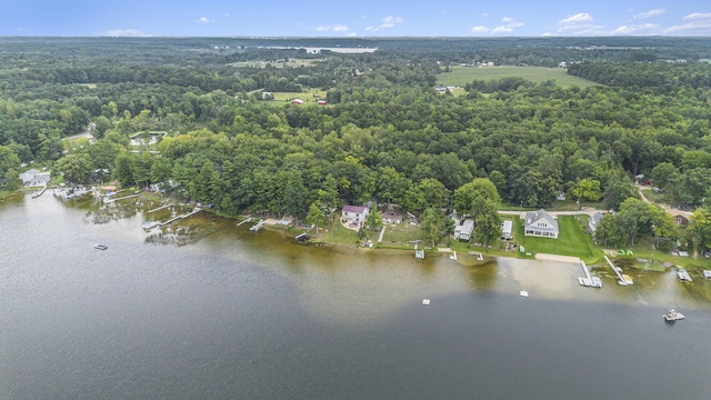 bird's eye view featuring a water view and a wooded view