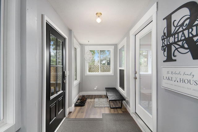 entryway with baseboards and wood finished floors