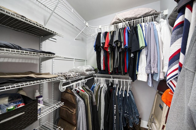 view of spacious closet