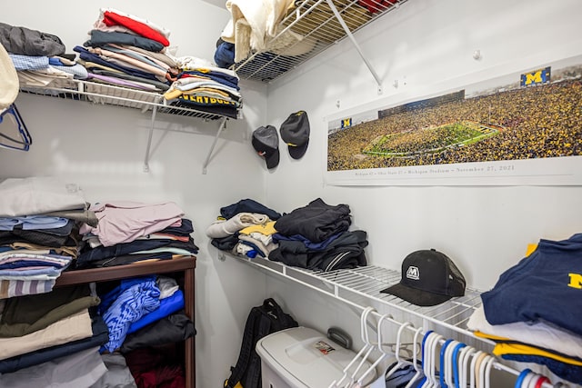 view of spacious closet