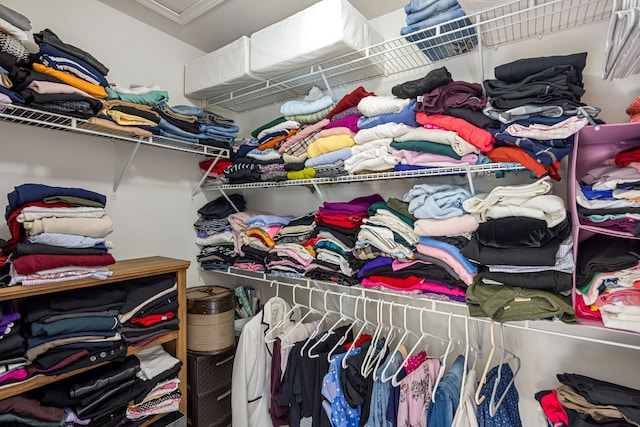 view of walk in closet