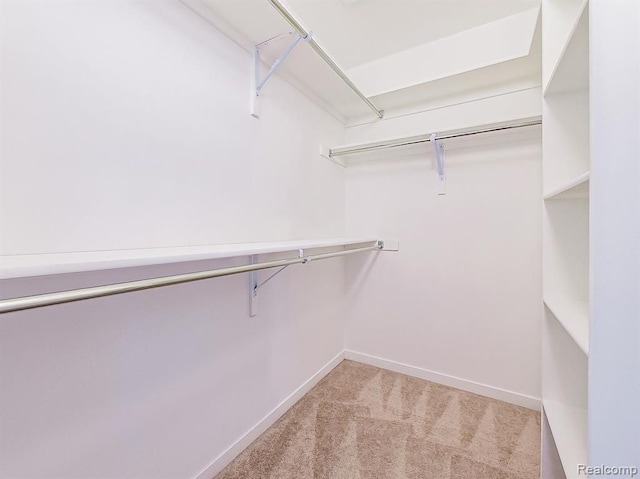 walk in closet with light colored carpet