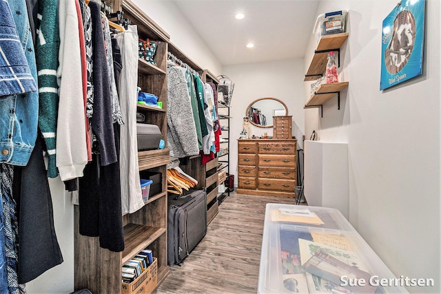 walk in closet with wood finished floors