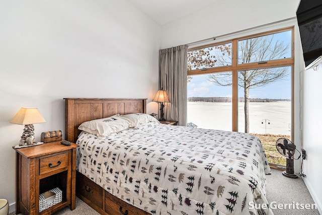 bedroom featuring baseboards and carpet flooring