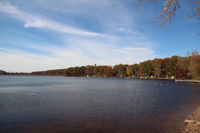 property view of water featuring a forest view