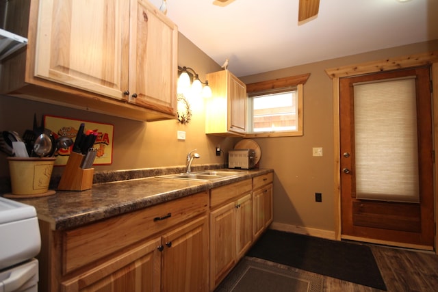 kitchen featuring dark countertops, dark wood finished floors, baseboards, and a sink