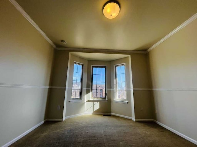 spare room featuring a wealth of natural light, baseboards, and carpet floors