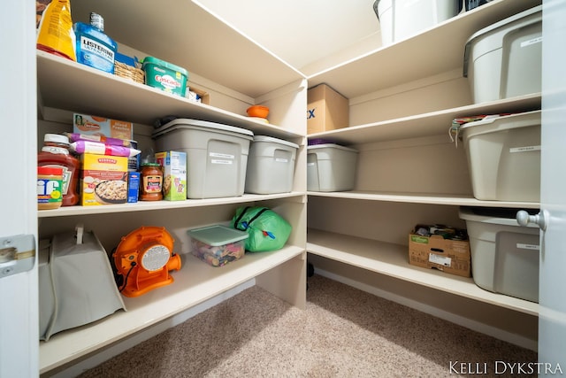 view of pantry