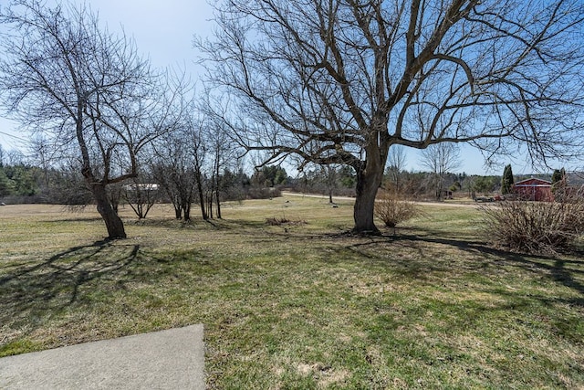 view of yard