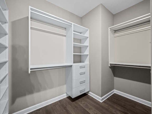walk in closet featuring dark wood-style flooring