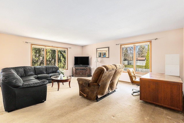 living room featuring a wealth of natural light and carpet floors