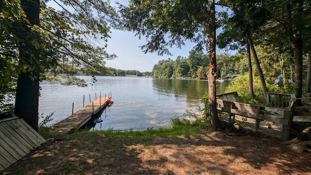 dock area with a water view