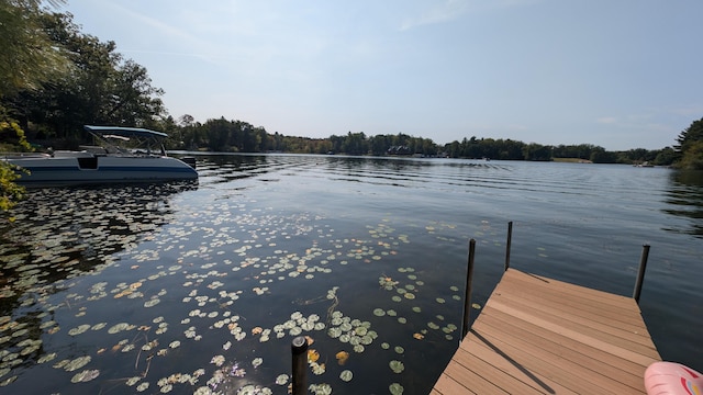 view of dock with a water view