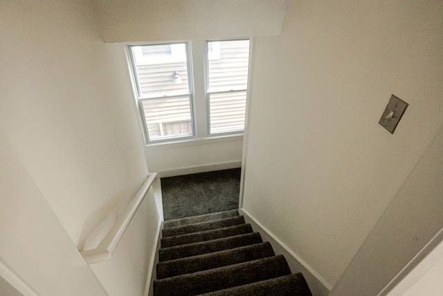 2552 N La Salle Gdns, Detroit, MI 48206 - staircase featuring carpet and baseboards