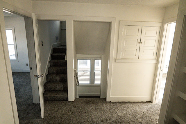 2552 N La Salle Gdns, Detroit, MI 48206 - staircase featuring a healthy amount of sunlight, visible vents, and carpet floors