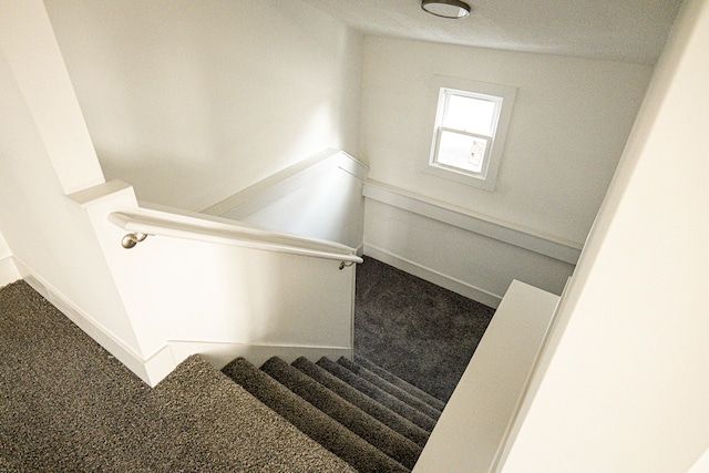 2552 N La Salle Gdns, Detroit, MI 48206 - stairway with carpet