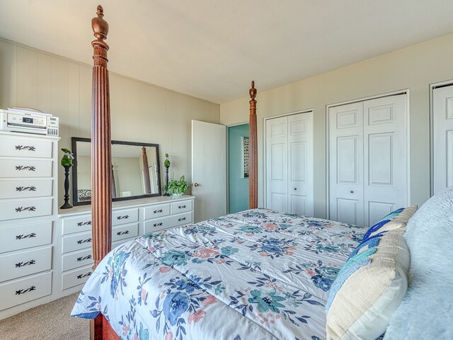 carpeted bedroom with multiple closets